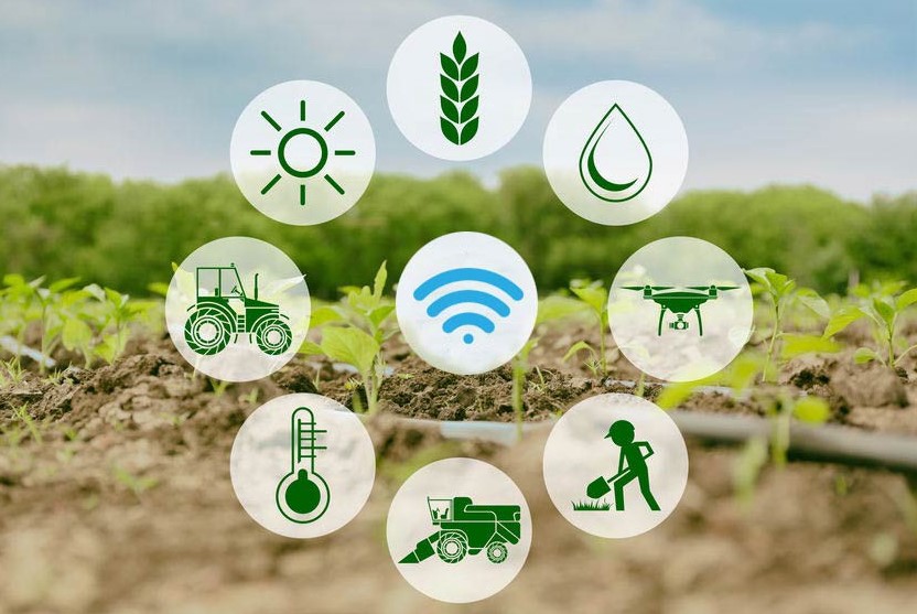 Manfaat Teknologi Iot Pada Pertanian