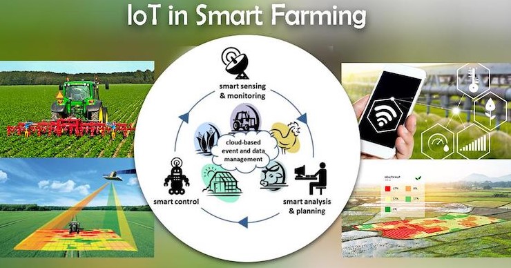 Peran Teknologi IoT Dalam Pertanian