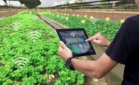 Teknologi IoT Pertanian